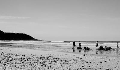 Private Classes and Workshops