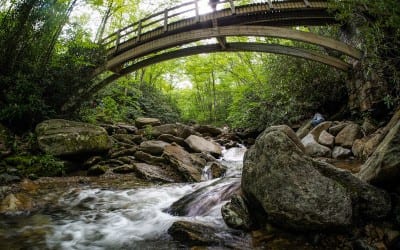 BlueRidge Photo Fest 2012