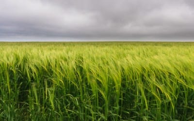 Learn to See the Light!