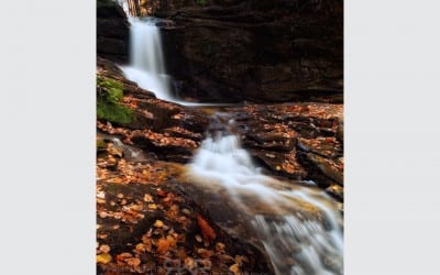 Olympus Viewer 2 vs. Lightroom 4