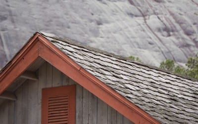 Photo tips for beginning students