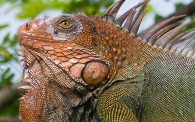 Hybrid Photography on Vacation