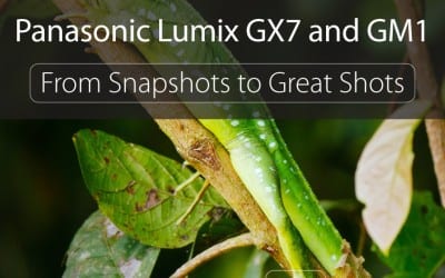 LUMIX GX7/GM1 Book available now