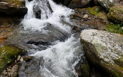 LUMIX GH4 First Impressions