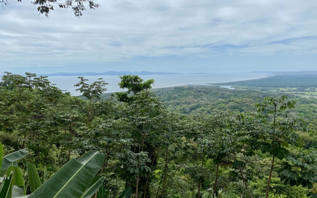 Covid and Costa Rica- Nature Travel in 2021