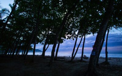 What I Miss About Micro Four Thirds Cameras